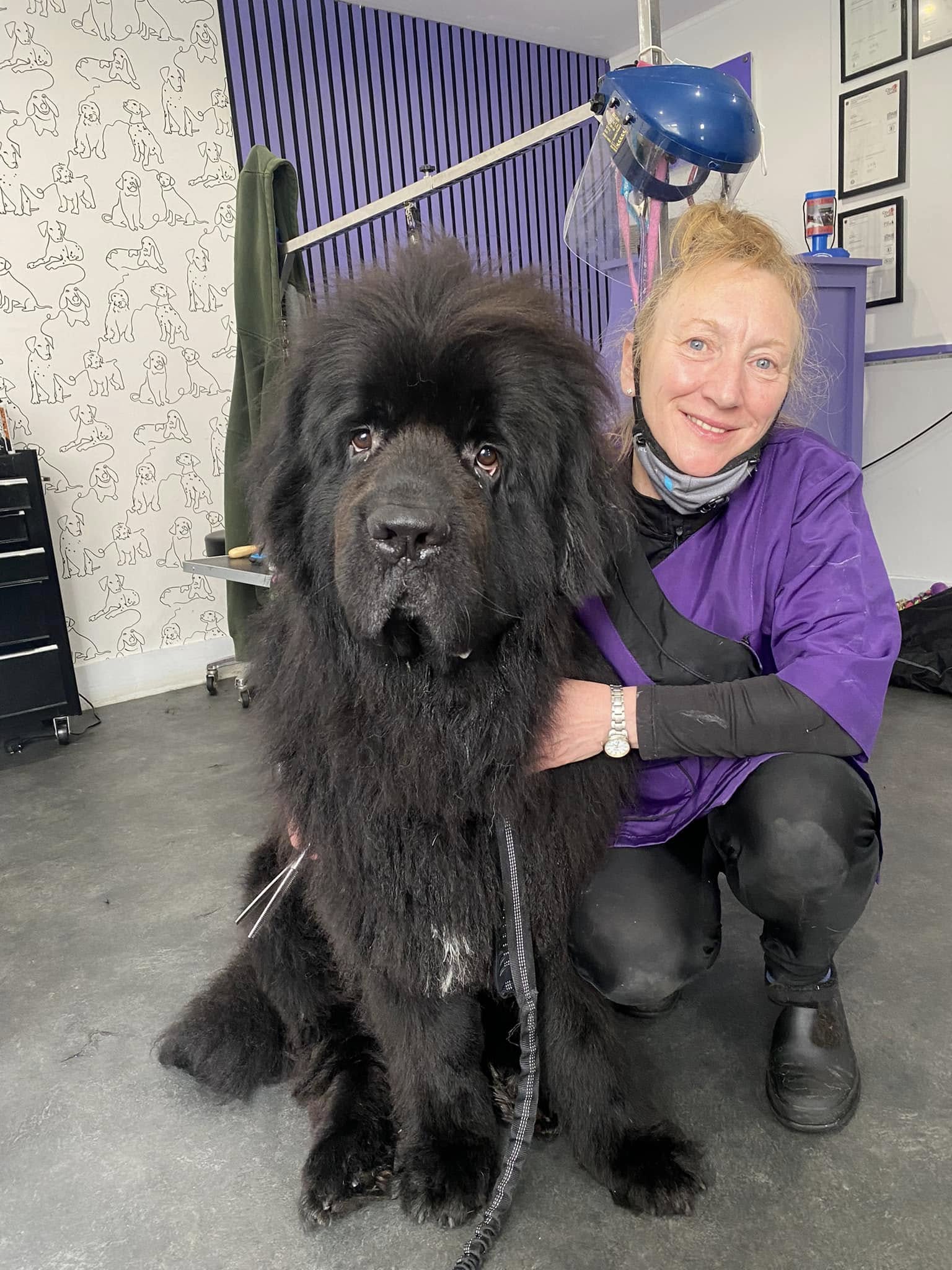 Inge with a large Newfoundland dog in the salon